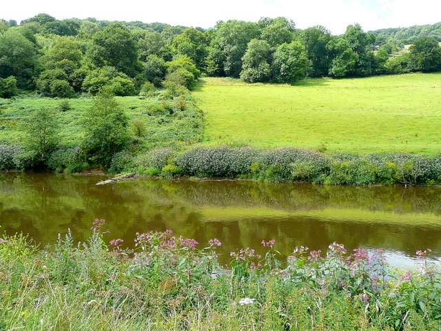 Looking across the River Wye towards pasture and Lower Wood near Penallt